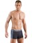Modal Strech Boxer 1