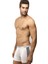 Modal Strech Boxer 1