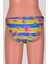 Ayl Erkek Çocuk Desenli Slip Mayo 103-D-37 1