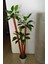 Yapay Yuka Ağacı Geniş Tombul Yapraklı 3 Gövdeli 1.75 mt Boy Yucca Ağaç Çiçek 3