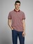 Jack & Jones 12169064_Jprbluwin Polo SsPolo Yaka Regular Fit Düz Koyu KırmızıErkek T-Shirt 3