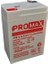 Energy Promax 6VOLT 4.5AMPER Akü 6V 4.5AH 1