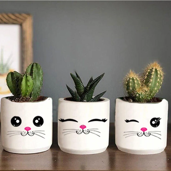 Dekozayn Home Kedi Yüzü Desenli Beton Saksı Üçlü Set- Küçük Boy Sukulent Saksısı Çizim Kedicik Hediyelik