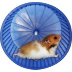 Canlı Petshop Hamster Çarkı Büyük Boy  14,5 cm
