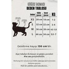 Pati Patron Kaçış Önleyici Kedi Gezdirme Tasması ve Küçük Irk Köpek Gezdirme Tasması