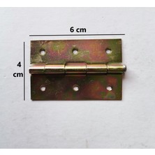 Koral Sac Yaprak Menteşe 4x6 Kalvenizli