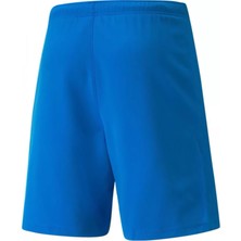 Puma Teamrise Short Erkek Futbol Şortu 70494202 Mavi