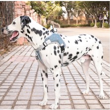 Sanlindou Köpek Tasması, Göğüs Kablo Demeti Yelek Tipi Yansıtıcı Giden Ayarlanabilir (Yurt Dışından)