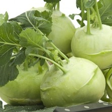 Bilgarden Yeşil Kohlrabi(Alabaş) Tohumu (20 Tohum)