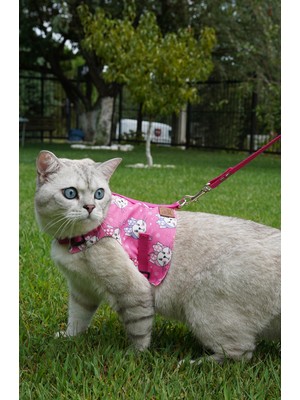 Pati Patron Kaçış Önleyici Kedi Gezdirme Tasması ve Küçük Irk Köpek Gezdirme Tasması