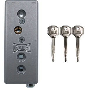 Kale Prazis Fotoselli Kapı Emniyet Kilidi Nikel 55 mm