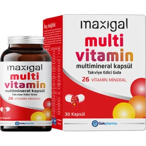 Multivitamin Multimineral 30 Kapsül
