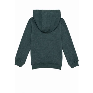 U.S. Polo Assn. Erkek Çocuk Yeşil Sweatshirt 50253475-VR054