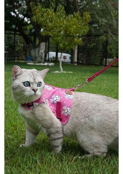 Kaçış Önleyici Kedi Gezdirme Tasması ve Küçük Irk Köpek Gezdirme Tasması