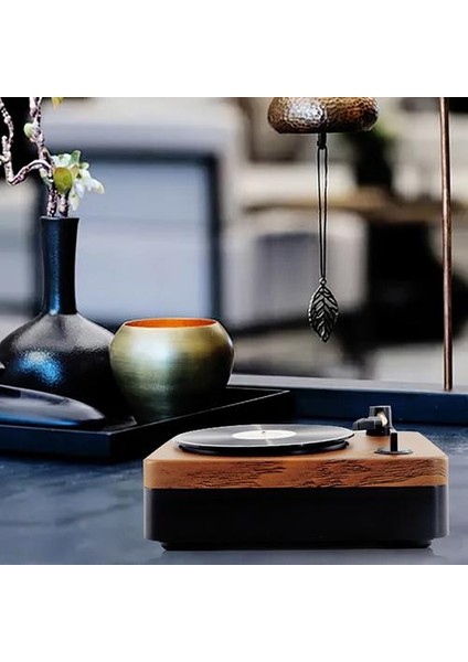 Hoparlör Subwoofer Kablosuz Ev Şarj Edilebilir Kayıt Çalar Retro Retro (Yurt Dışından)