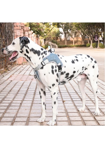 Köpek Tasması, Göğüs Kablo Demeti Yelek Tipi Yansıtıcı Giden Ayarlanabilir (Yurt Dışından)