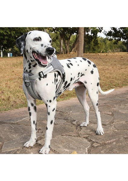 Köpek Tasması, Göğüs Kablo Demeti Yelek Tipi Yansıtıcı Giden Ayarlanabilir (Yurt Dışından)