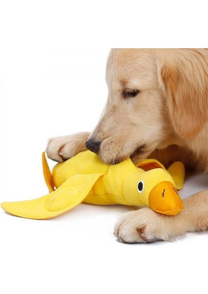 Köpekler Peluş Oyuncakları Çiğnemek, Ördek Bebekleri Oynamak ve Oyuncakları Koklamak Için Eğitilir (Yurt Dışından) indirimleri