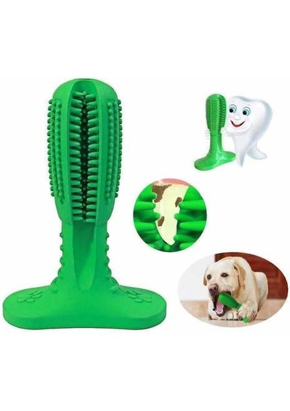 Köpek Molar Çubuk, Kauçuk Molar Temizlik Oyuncak (Yurt Dışından)