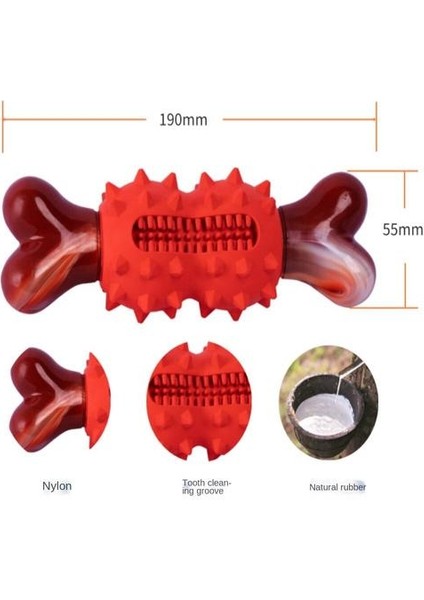 Pet Bone Oyuncak, Lastik Çiğneme, Çiğneme, Molar, Diş Temizliği (Yurt Dışından)