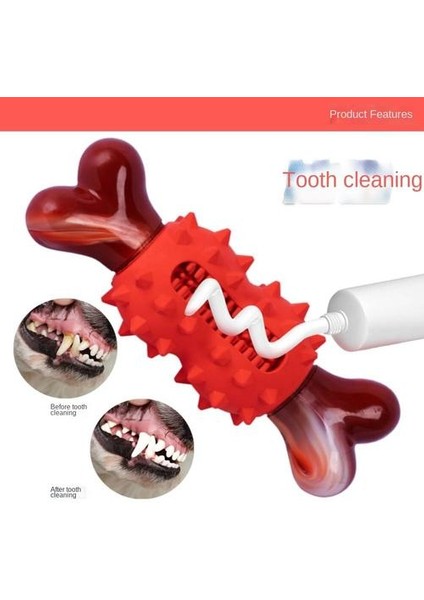 Pet Bone Oyuncak, Lastik Çiğneme, Çiğneme, Molar, Diş Temizliği (Yurt Dışından)