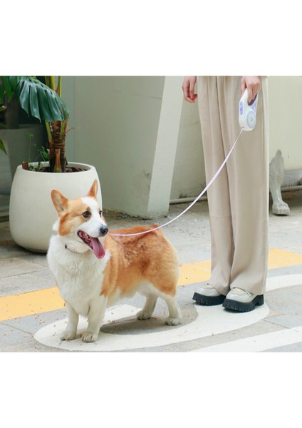 Açık Köpek Yürüyüş Tasması, Orta ve Küçük Köpekler ve Kediler Için Otomatik Olarak Geri Çekilebilir Köpek Yürüyüşü Tasması (Yurt Dışından)