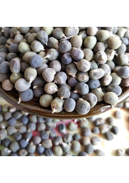 Şifa Kaynağı Doğal Bamya Tohumu (250 Gram) fiyatları