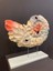 Lizzart Salyangoz Yatay 36*34 Lizzart 1056 1