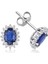 18 Ayar Altın 0.99 Karat Safir 0.13 Karat Pırlanta Küpe 1