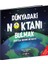 Dünyadaki Noktanı Bulmak – Çeşitlilik Üzerine Bir Hikâye -  Diane Alber 1