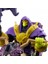 He-Man ve Masters Of The Universe Karakter ve Araç Serisi Skeletor & Painthor HBL76 3