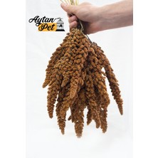 Aytan Pet Kızıl Dal Darı 1 kg (Tilki Kuyruk)