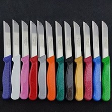 Solingen Keskin Solingen Marka Meyve & Sebze Bıçağı Karışık Renkli 12 Adet