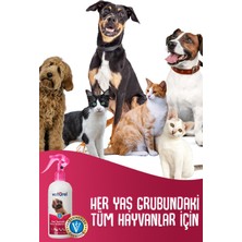 Veturel Pati Temizlik ve Koku Giderici Sprey 1000ml Kedi Tüy Köpek Pati Temizleme Köpüksüz Pati Bakım