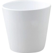 Aster Soendgen Saksı Dallas Seramik Beyaz 14 cm