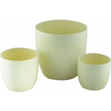 Aster Basel Krem Saksı 16 cm