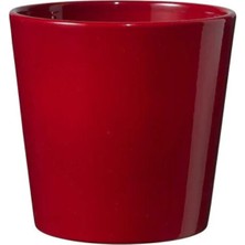 Aster Soendgen Saksı Dallas Seramik Bordo 14 cm