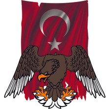 TSC Kartal Türk Bayrağı Sticker Yapıştırma 18CM