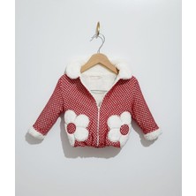 Babyrose Mont-Sweatshirt-Deri Tayt'lı 3'lü Kız Çocuk Takım 1-4 Yaş