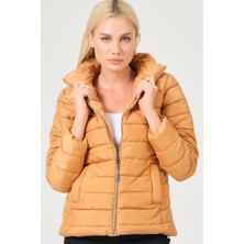 Dewberry Z6746 Dewberry Bayan Mont-Vizon