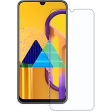 Kvy Samsung Galaxy M30S Nano Cam Ekran Koruyucu