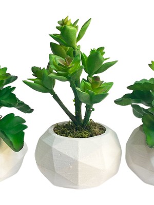 Hediye Vitrini Prizma Beton Saksı Da 3 Lü Set Etli Bitki Yeşil Yapay Sukulent Çiçeği 15 cm