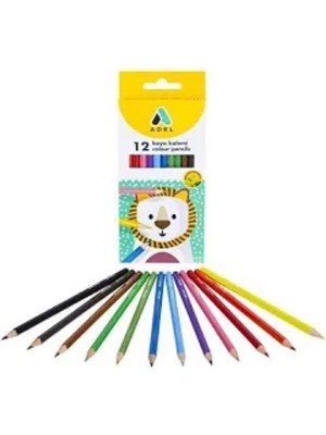 Adel Kuru Boya Karton Kutu Tam Boy 12 Renk