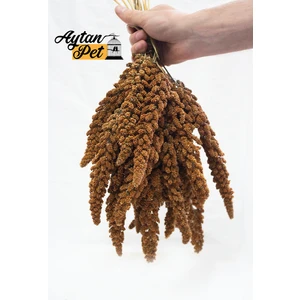 Aytan Pet Kızıl Dal Darı 250 gr (Tilki Kuyruk)