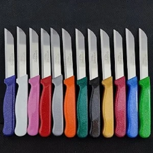 Keskin Solingen Marka Meyve & Sebze Bıçağı Karışık Renkli 12 Adet