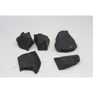 Yaşam Tohumu Shungite Şungit Taşı Ham Parça 30-39GRAM