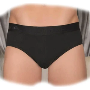 4406 Erkek Modal Kalın Bel Lastikli Slip Külot