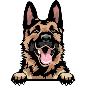 Alman Çoban Köpeği Araba Sticker Etiket 17CM