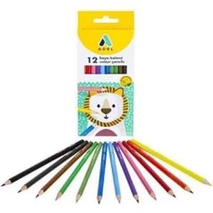 Kuru Boya Karton Kutu Tam Boy 12 Renk