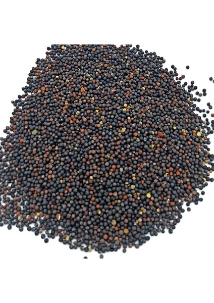 Siyah Hardal Tohumu 250 gr fiyatları